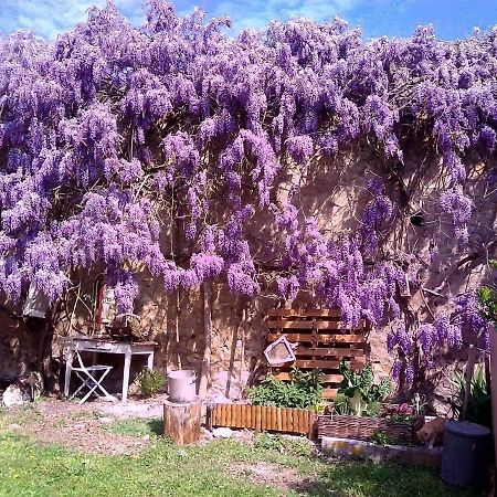 Vicq-sur-Gartempe Le Clos מראה חיצוני תמונה